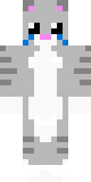 2D skin preview