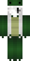 2D skin preview