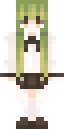 2D skin preview