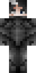 2D skin preview