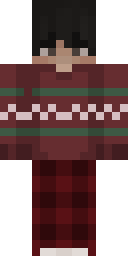 2D skin preview