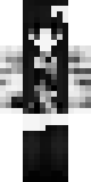 Skin preview for interviews