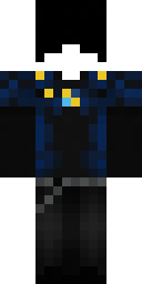 2D skin preview