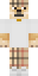 2D skin preview