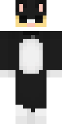 2D skin preview