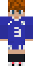 2D skin preview