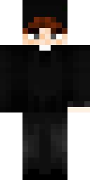 Skin preview for sirctz