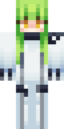 2D skin preview