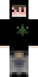2D skin preview