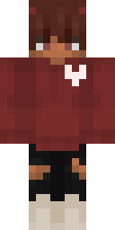 2D skin preview
