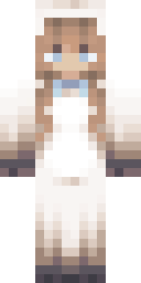 2D skin preview