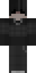 2D skin preview
