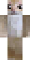 2D skin preview