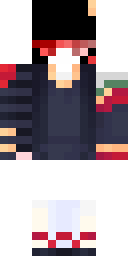 2D skin preview