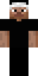 Skin preview for ParkourHub