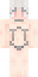 2D skin preview