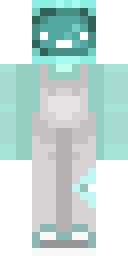 2D skin preview