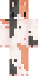 Skin preview for efetutorial