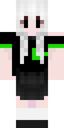 2D skin preview