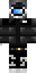 2D skin preview
