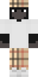 2D skin preview