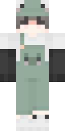 2D skin preview