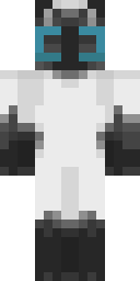 Skin preview for skyywars