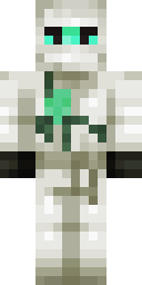 2D skin preview