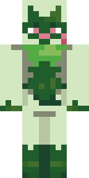 2D skin preview