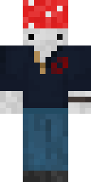 2D skin preview