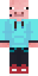 2D skin preview