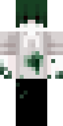 2D skin preview