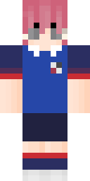 2D skin preview