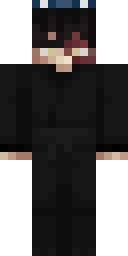 2D skin preview