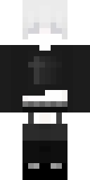 2D skin preview