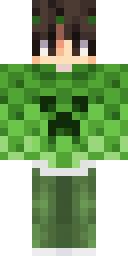 2D skin preview
