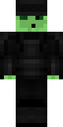 2D skin preview