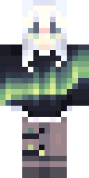 2D skin preview