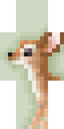 2D skin preview