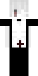 2D skin preview