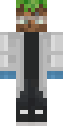 2D skin preview