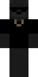 Skin preview for UrsidaeSentinel