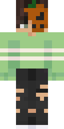 Skin preview for armay