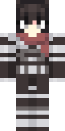 2D skin preview