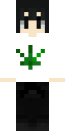 2D skin preview