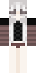 2D skin preview