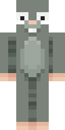 2D skin preview