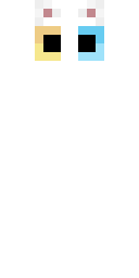 2D skin preview