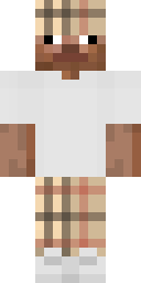 Skin preview for NetheShot