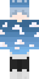 2D skin preview